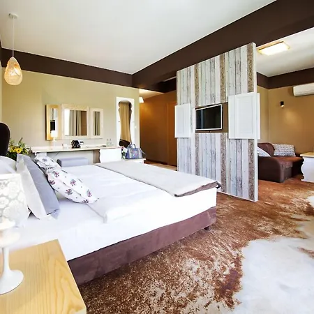 Spa&conference 호텔 Piwniczna-Zdroj