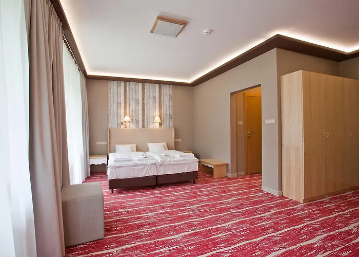 Hotel Spa&conference 4*